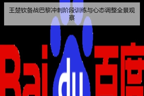 王楚钦备战巴黎冲刺阶段训练与心态调整全景观察